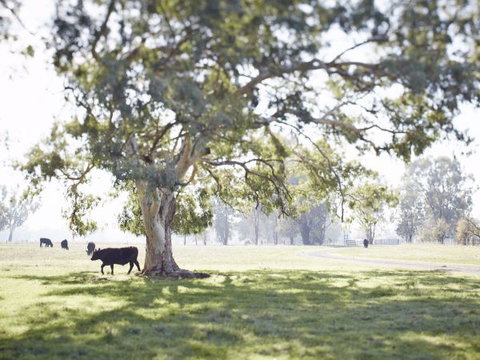 WillOaks B&B - C Tourism 7