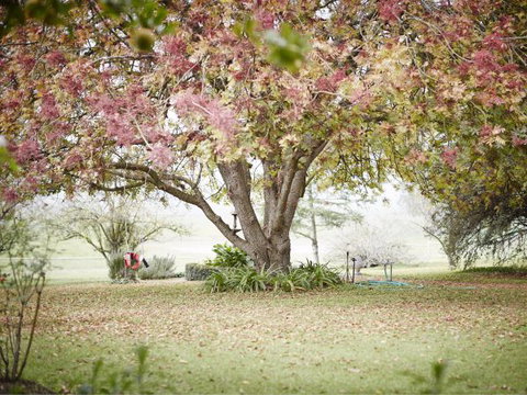 WillOaks B&B - C Tourism 8