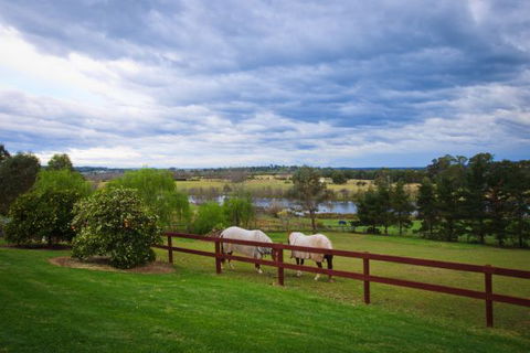Camden Hillview - C Tourism 7