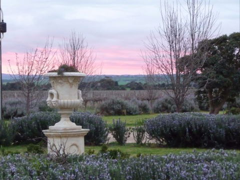 Angas Plains Wines Suites - C Tourism 3
