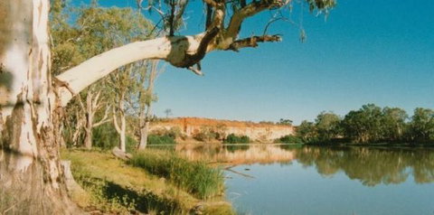 Border Cliffs River Retreat - C Tourism 0