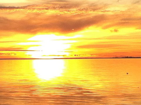 Dalton On The Lake - C Tourism 3