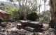 Bluey Blundstones Accommodation - thumb 0