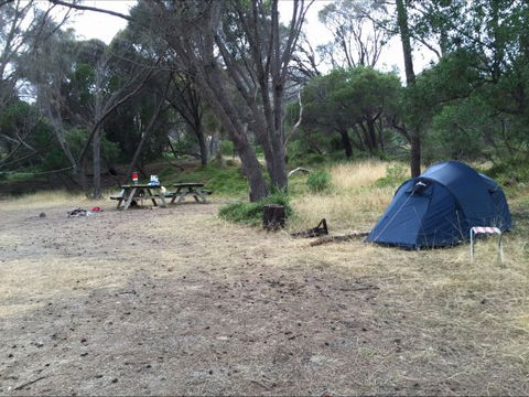 Allports Beach Camping Ground - C Tourism 0