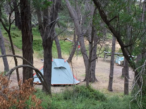 Allports Beach Camping Ground - C Tourism 5