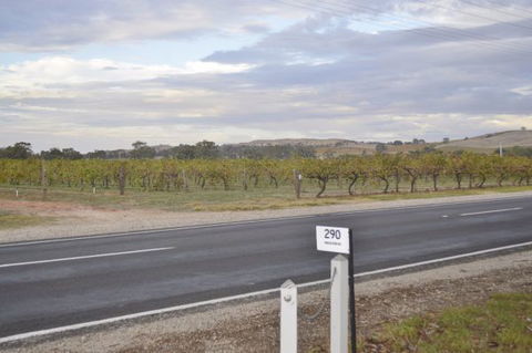 Almond Tree Cottage - C Tourism 5