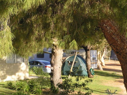 Barmera North Lake Caravan Park - C Tourism 0
