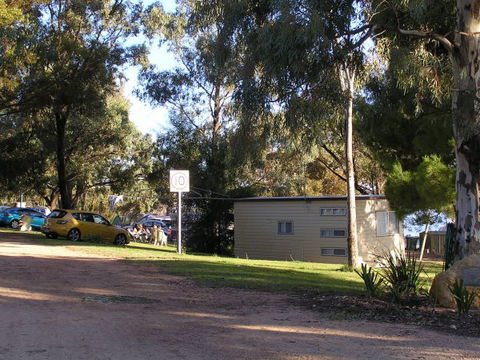 Barmera North Lake Caravan Park - C Tourism 1