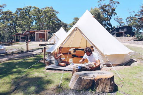 Bay Of Fires Bush Retreat - C Tourism 0