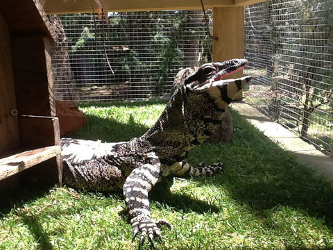 Beechworth Wildlife Stays - C Tourism 6