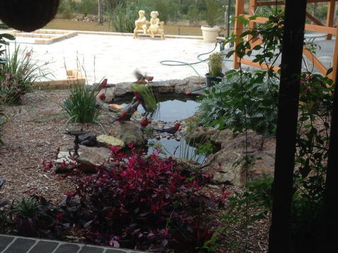 BellbirdHill Bed And Breakfast - C Tourism 8