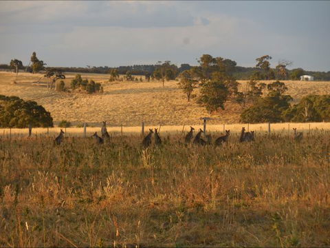Bunjil Farm - C Tourism 8