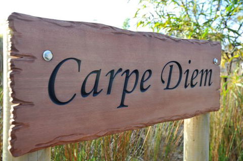 Carpe Diem - C Tourism 0