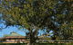 Cairnsmore Bed And Breakfast - thumb 7