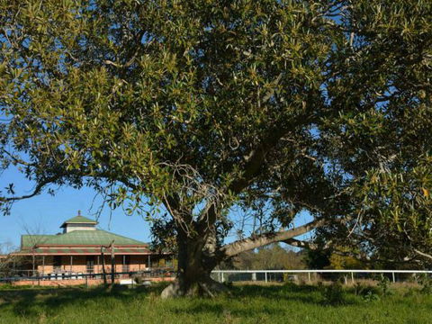 Cairnsmore Bed And Breakfast - C Tourism 7
