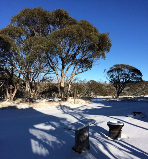 Cloud 9 Alpine Lodge - C Tourism 9