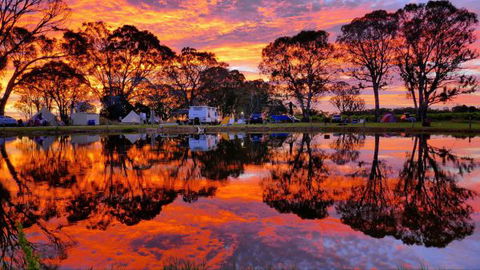 Coonawarra Bush Holiday Park - C Tourism 0