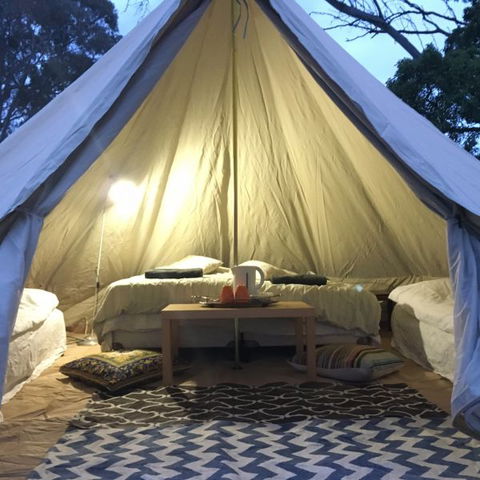 Coonawarra Bush Holiday Park - C Tourism 1