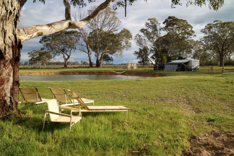 Coonawarra Bush Holiday Park - C Tourism 4