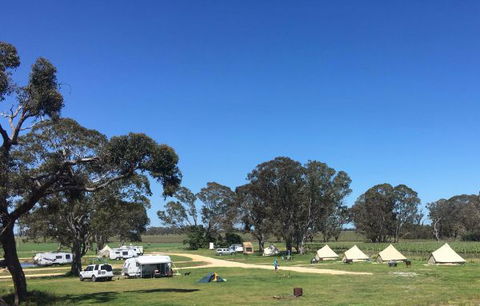 Coonawarra Bush Holiday Park - C Tourism 5
