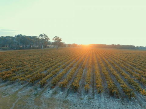 Coonawarra Bush Holiday Park - C Tourism 7