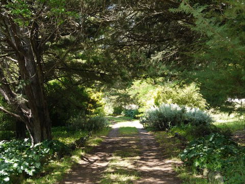 Coodravale Homestead - C Tourism 8