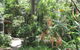 Dunns Creek Downs Nature Stay - thumb 0