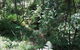 Dunns Creek Downs Nature Stay - thumb 2