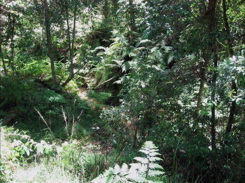 Dunns Creek Downs Nature Stay - C Tourism 2