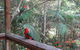 Dunns Creek Downs Nature Stay - thumb 4