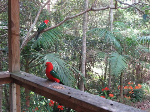 Dunns Creek Downs Nature Stay - C Tourism 4