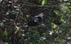 Dunns Creek Downs Nature Stay - thumb 5