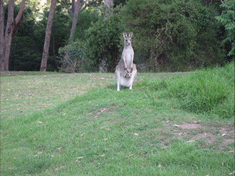 Dunns Creek Downs Nature Stay - C Tourism 6