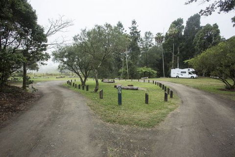 Eungella National Park Camping Ground - C Tourism 0