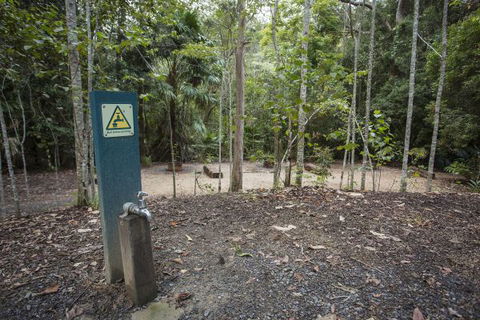 Eungella National Park Camping Ground - C Tourism 2