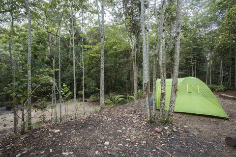 Eungella National Park Camping Ground - C Tourism 3