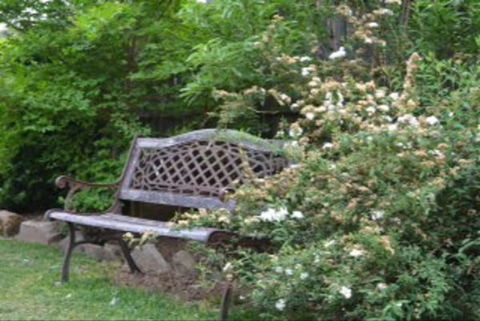 Garden Cottage B And B - C Tourism 4