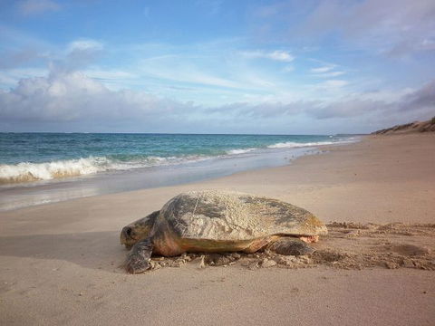 Gnaraloo Station - C Tourism 9