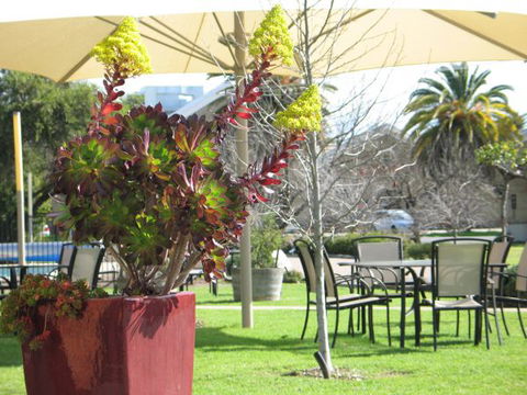 Golden Chain Wine Village Motor Inn - C Tourism 3