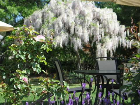 Golden Chain Wine Village Motor Inn - C Tourism 5