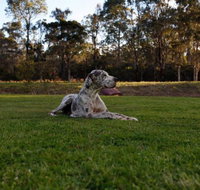 Hunter Valley Retreat - C Tourism