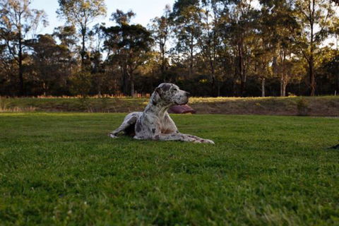 Hunter Valley Retreat - C Tourism 0