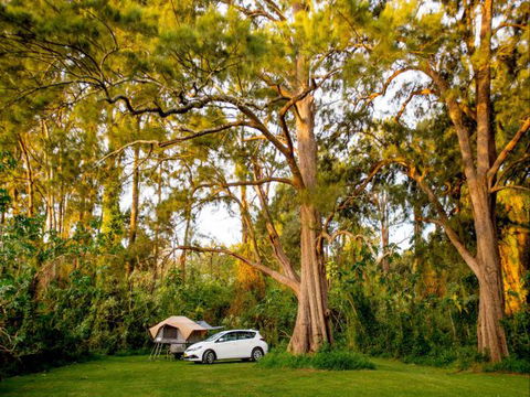 Ingenia Holidays Nepean River - C Tourism 1
