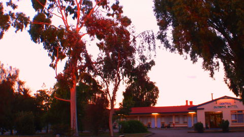Murray Bridge Central Olympic Motel And Cottages - C Tourism 0