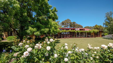 Mulberry Lodge Country Retreat - C Tourism 0