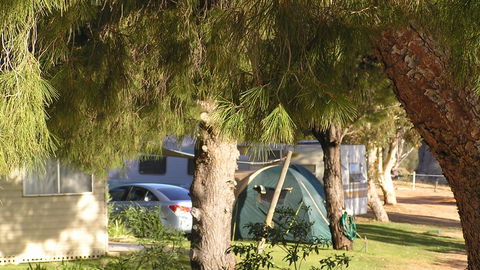 Barmera North Lake Caravan Park - C Tourism 4