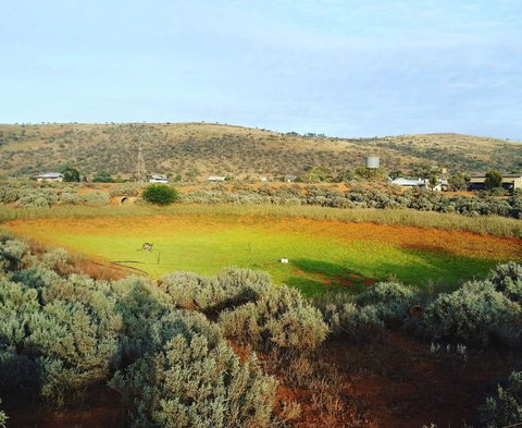 Mount Ive - C Tourism 0