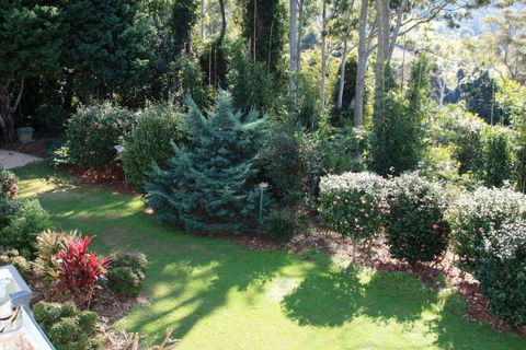 Mt Tamborine Motel - C Tourism 1