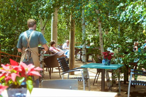 Oakdene Vineyards Guesthouse - C Tourism 5