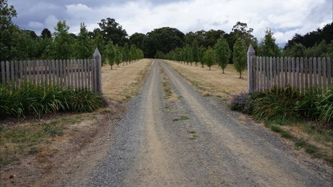 Oakhill Cottage - C Tourism 7